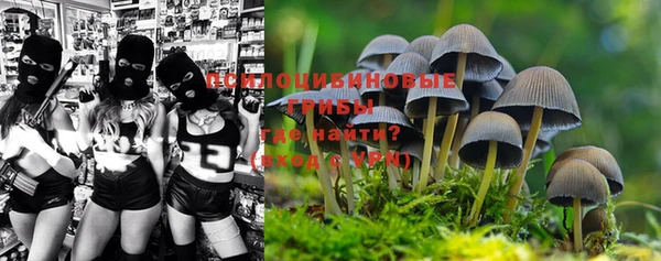 героин Богданович