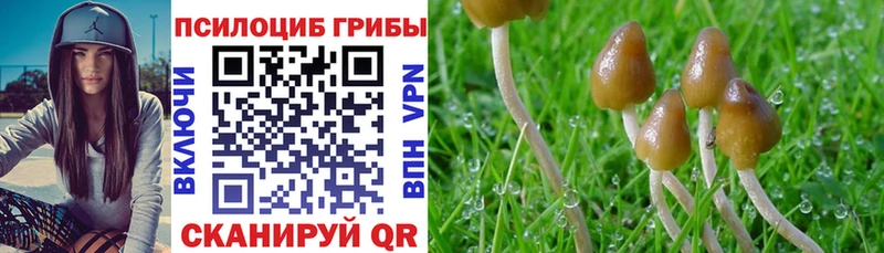 shop наркотические препараты  Нерехта  Галлюциногенные грибы мухоморы 